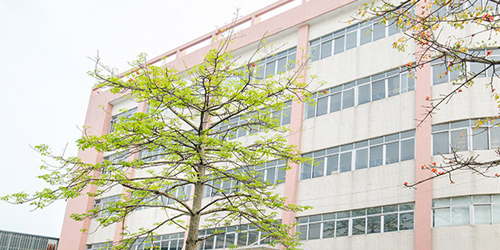 工廠實(shí)力 工廠實(shí)力